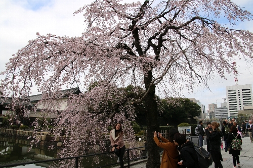 皇居濠周辺