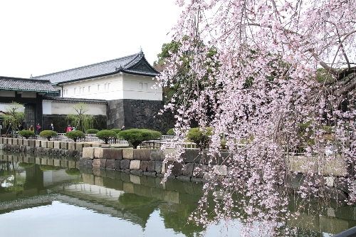 皇居濠周辺