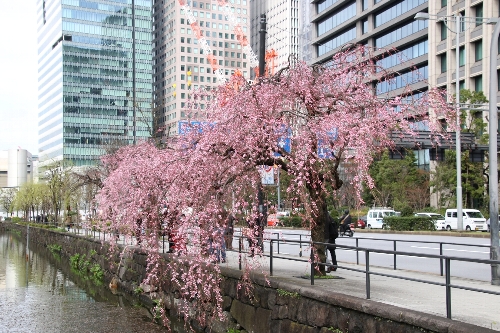皇居濠周辺