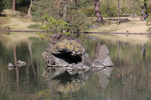 六義園(昼)