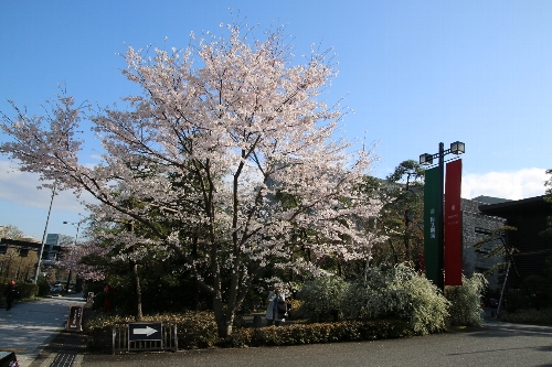 国立劇場前