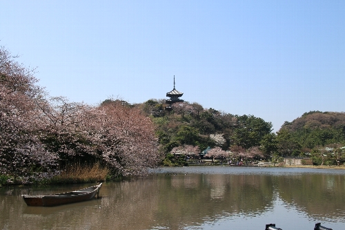 横浜三渓園