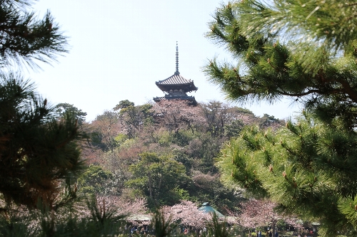 横浜三渓園