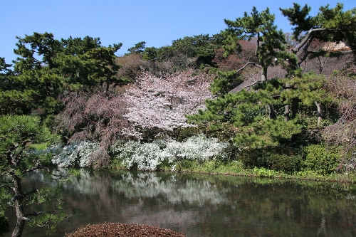 横浜三渓園