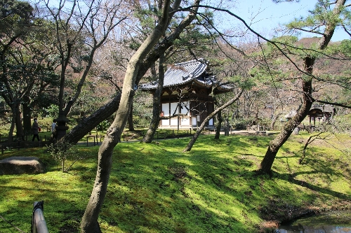 横浜三渓園