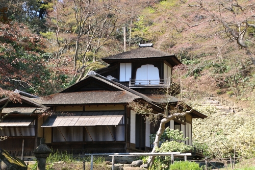 横浜三渓園