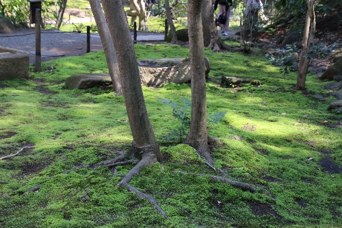 横浜三渓園