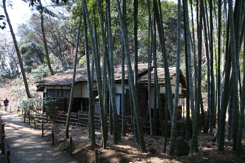 横浜三渓園