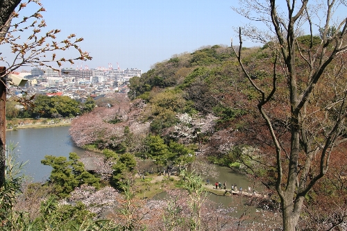 横浜三渓園