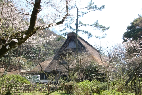 横浜三渓園