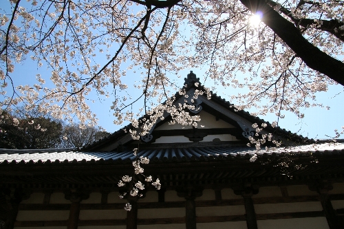 横浜三渓園