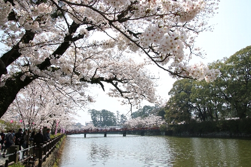 小田原城址