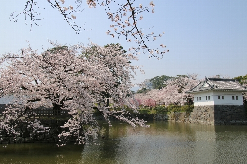 小田原城址