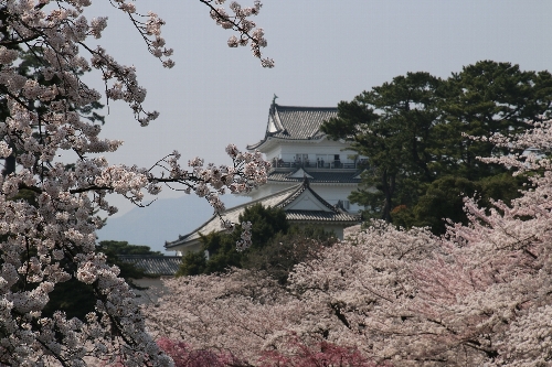 小田原城址
