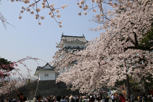 小田原城址