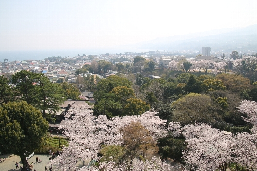 小田原城址