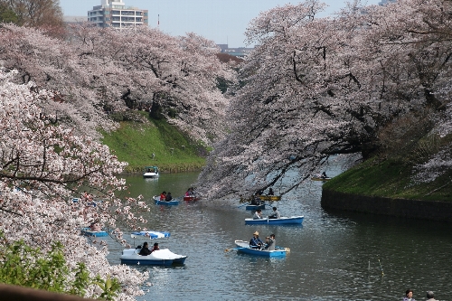 小田原城址