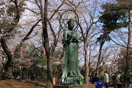 飛鳥山公園