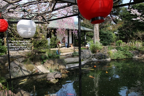 飛鳥山公園