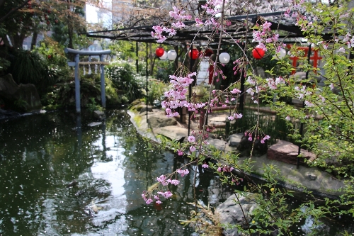 飛鳥山公園