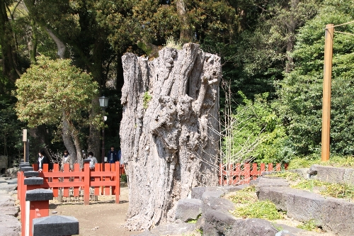 鶴岡八幡宮