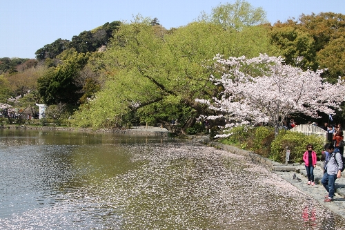 鶴岡八幡宮