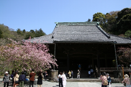 妙本寺