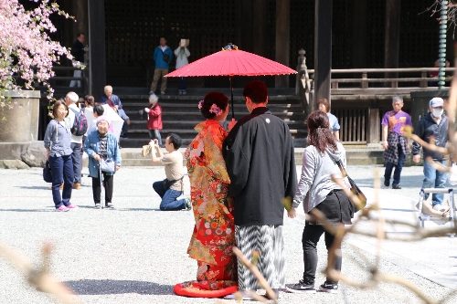 妙本寺