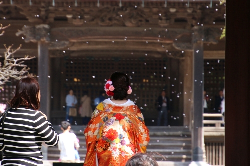 妙本寺