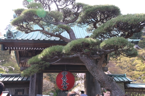 長谷寺