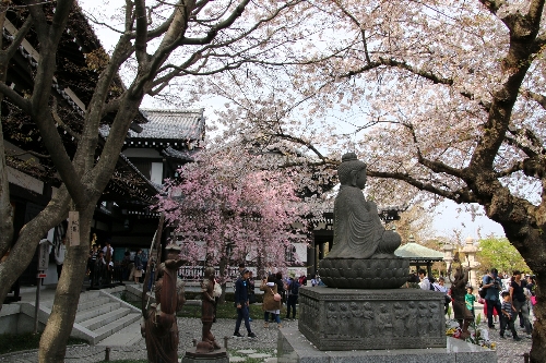 長谷寺