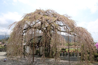 周林禅寺