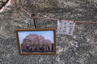 周林禅寺