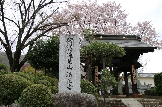 カワヅサクラ