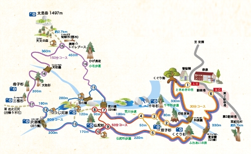 屋久島レクリエーションの森保護管理協議会のサイトより転載