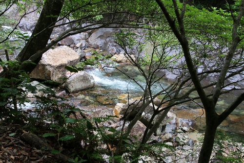 大川の滝からの清流
