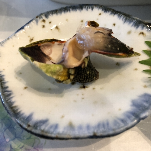 屋久島グリーンホテルの亀の手を開いたところ
