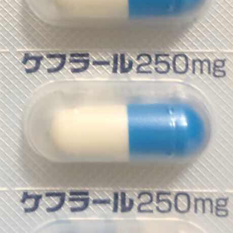 抗生物質のケフラール