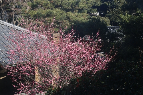 旧前田家本邸