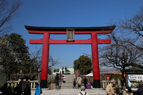 青い空に赤い鳥居が目立つ亀戸天神