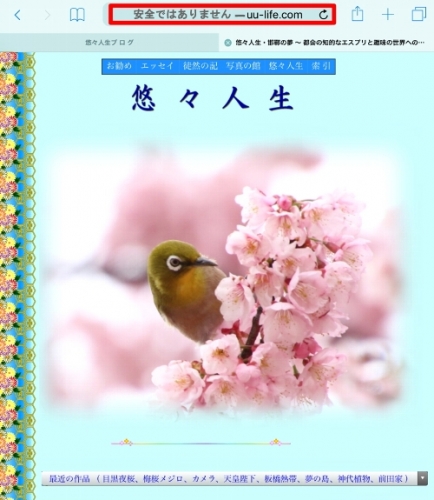 最上段の赤字が「安全ではありません」の警告