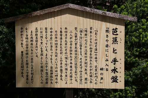 芭蕉と手水盤