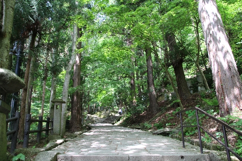 登り道