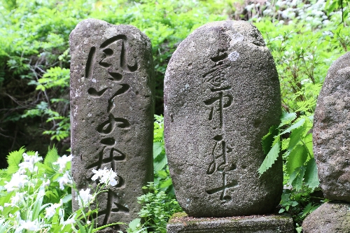 せみ塚
