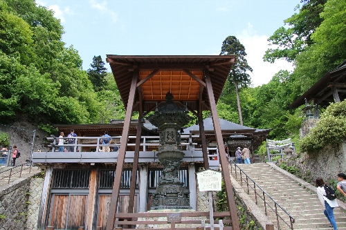 金灯籠