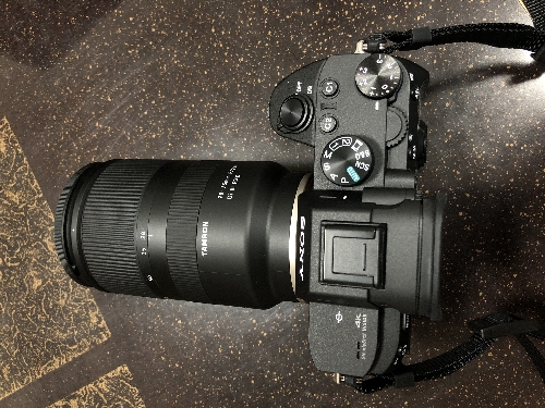 α7RIIIにつけたタムロンの レンズ (Eマウント)28-75mm