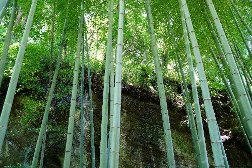 名月院