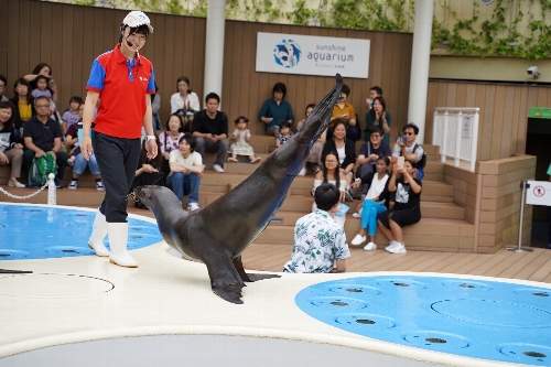 飼育員さんとアシカ