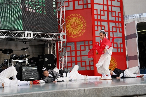 中国武当功夫団(カンフー団)