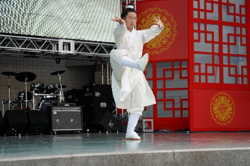 中国武当功夫団(カンフー団)